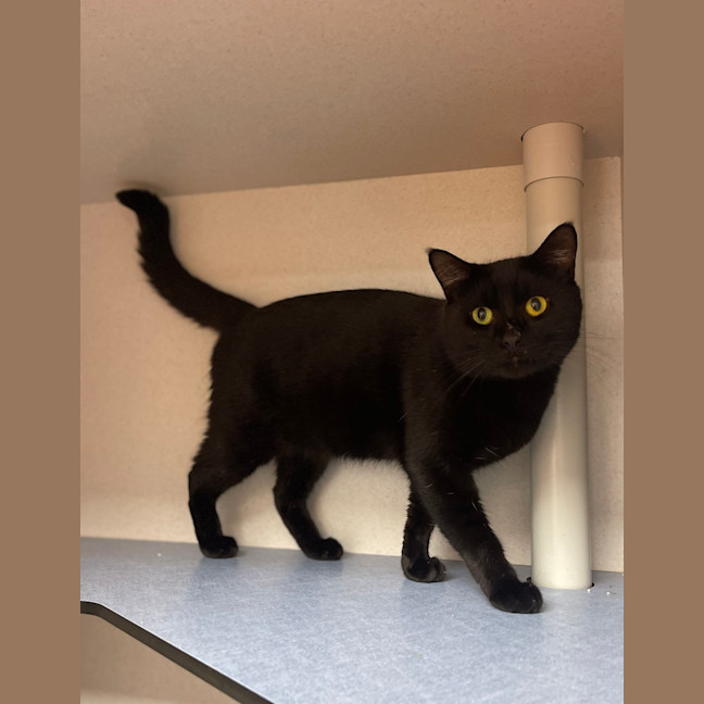 Photo of Finnegan