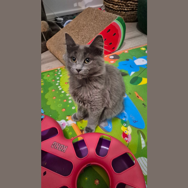 Photo of Clea 🌻