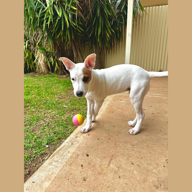 Photo of Molly