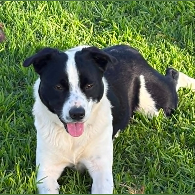 Photo of Tux