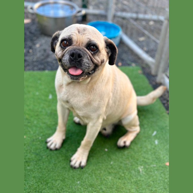 Photo of Wilma