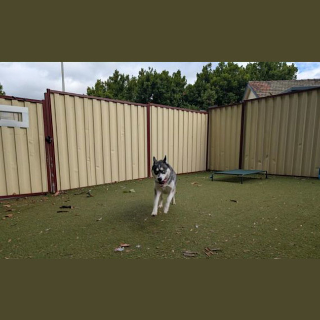 Photo of Hunter