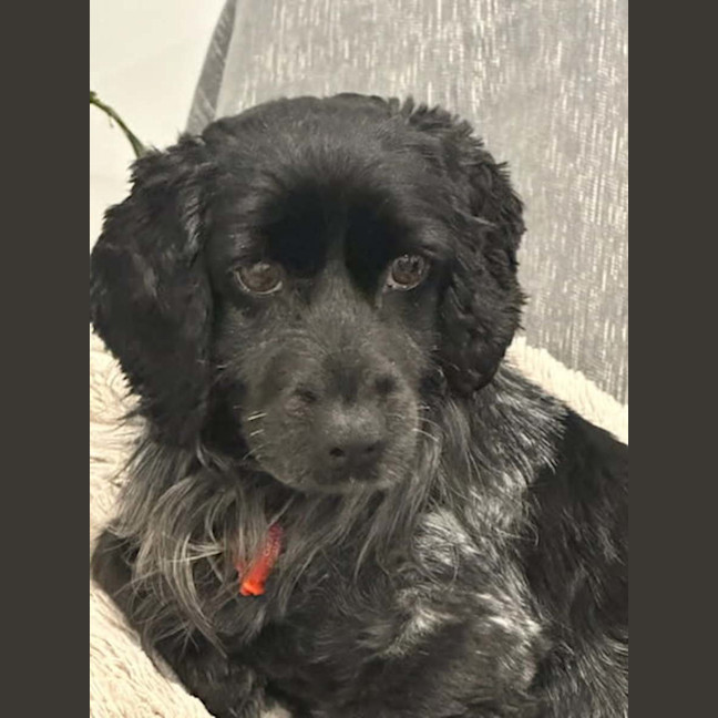 Photo of Snugglepot
