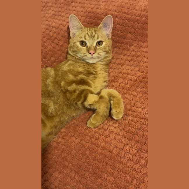Photo of Jack