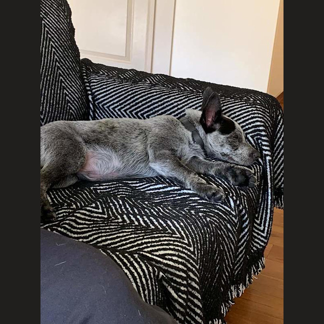 Photo of Bud