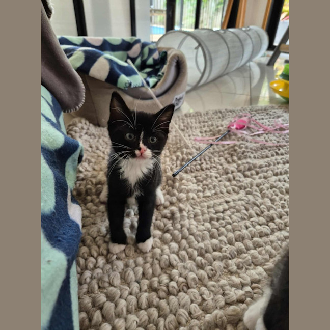 Photo of Meg