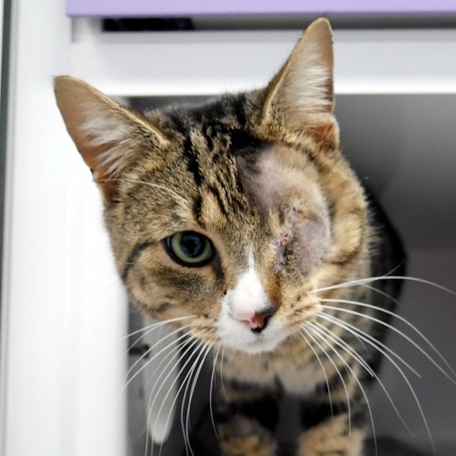 Photo of Odin Sta012883