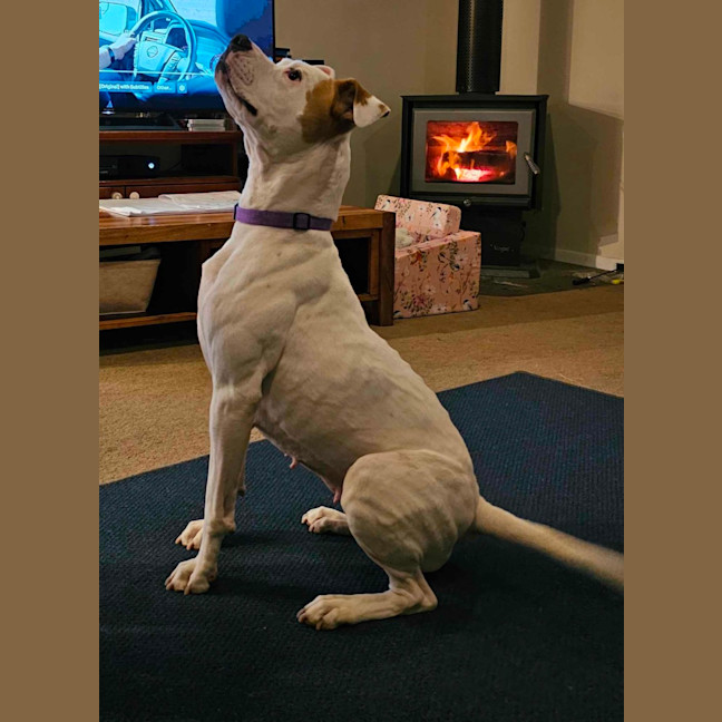 Photo of Meeka