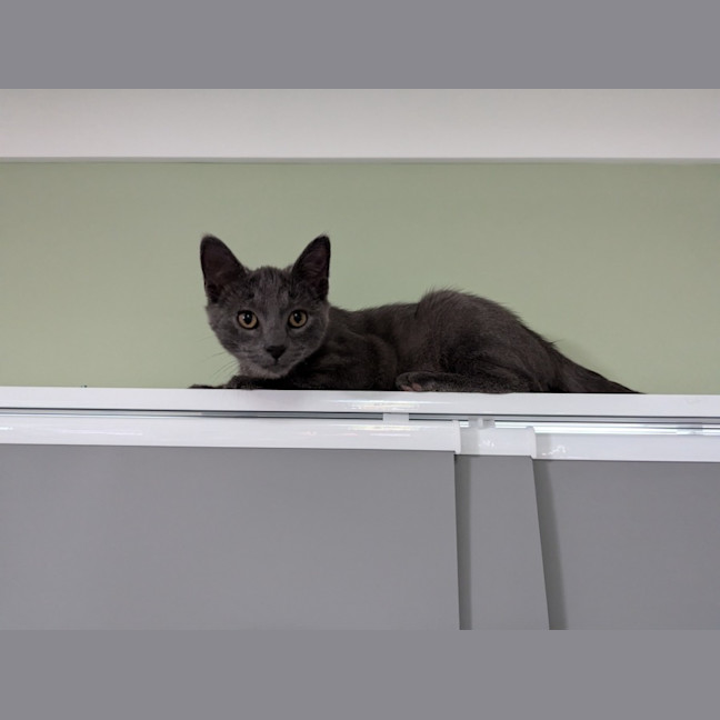 Photo of Niles