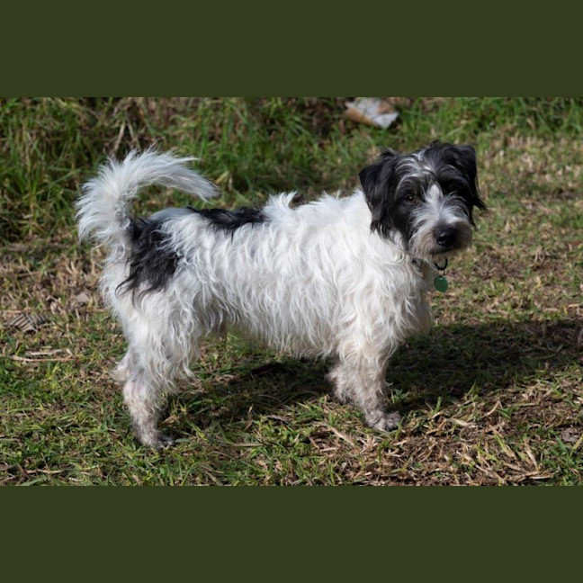 Photo of Bean And Dunkin Russelton