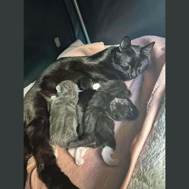 Photo of Betty🎶🎶❤️