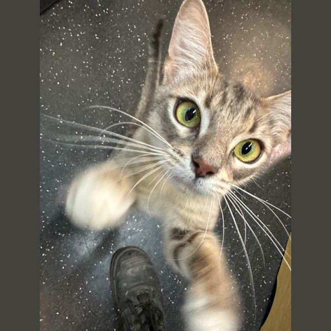 Photo of Bird The Word