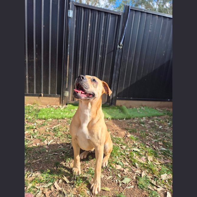 Photo of Charlie Bear