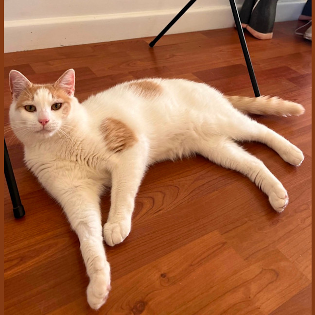 Photo of Rudolf 