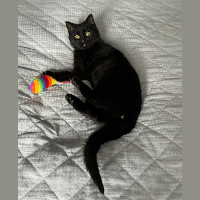 Photo of Sabine