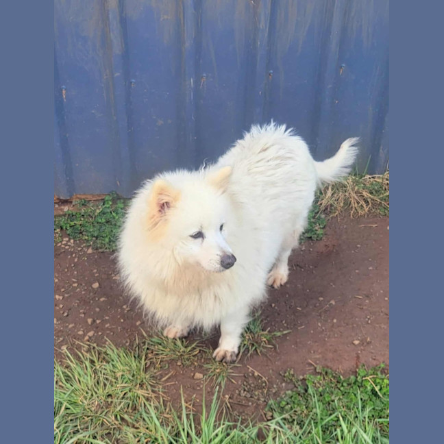 Photo of Bliss & Crystal