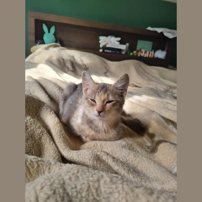 Photo of Nora