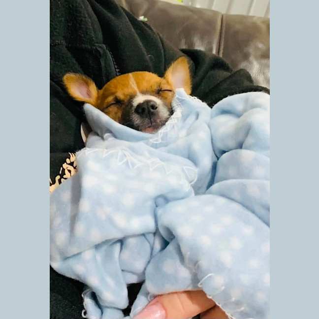 Photo of Pancake