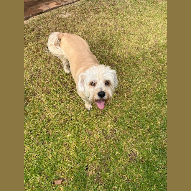 Photo of Katie And Zuri