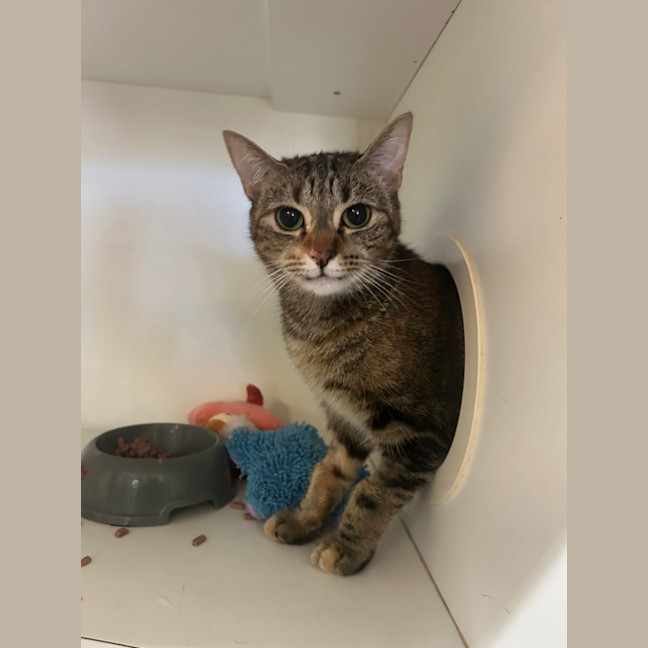 Photo of Mimmy White