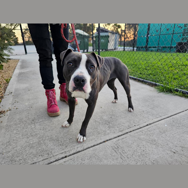Photo of Zena