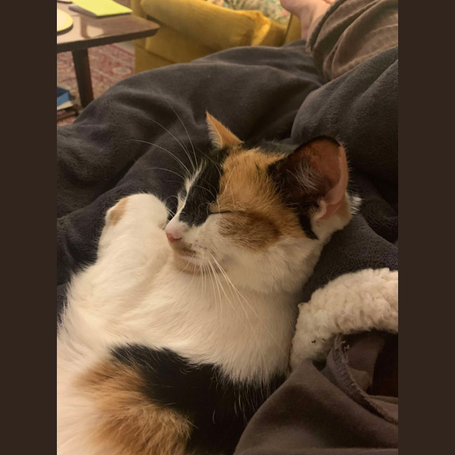 Photo of Maia   Located In Preston