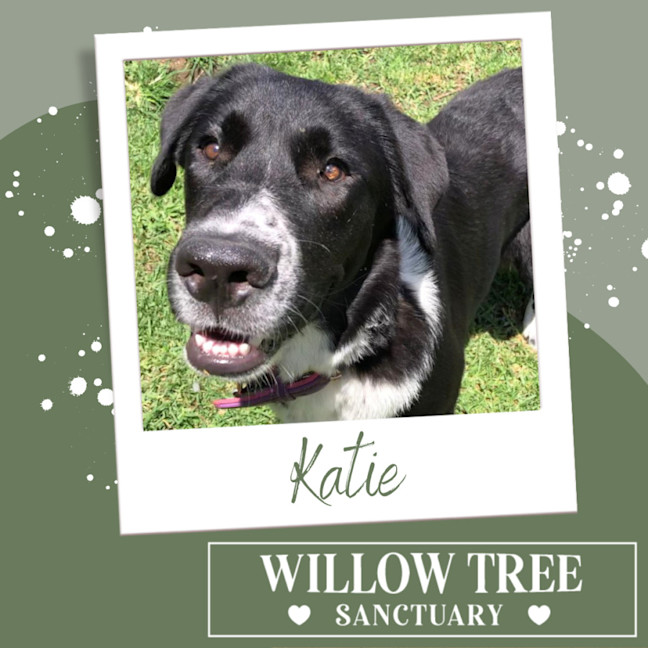 Photo of Katie