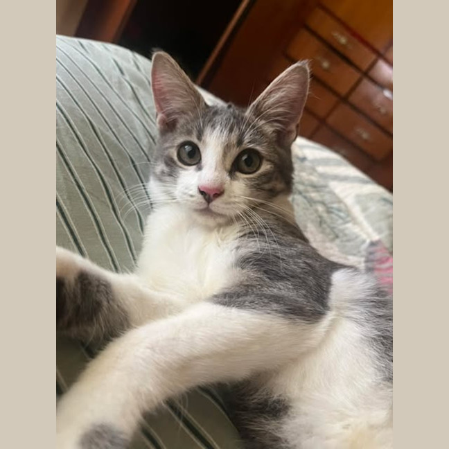 Photo of Xena