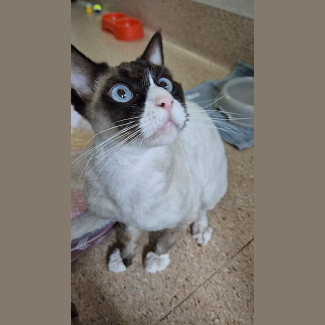 Photo of C Montgomery Burns