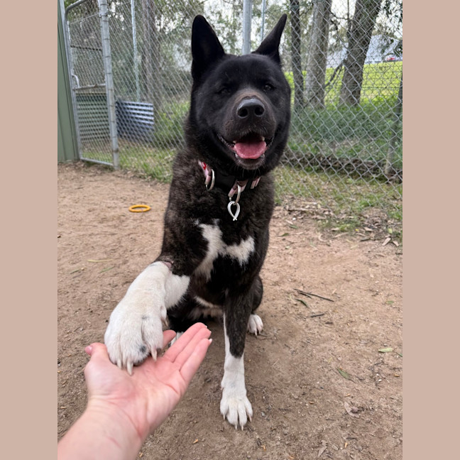 Photo of Kita