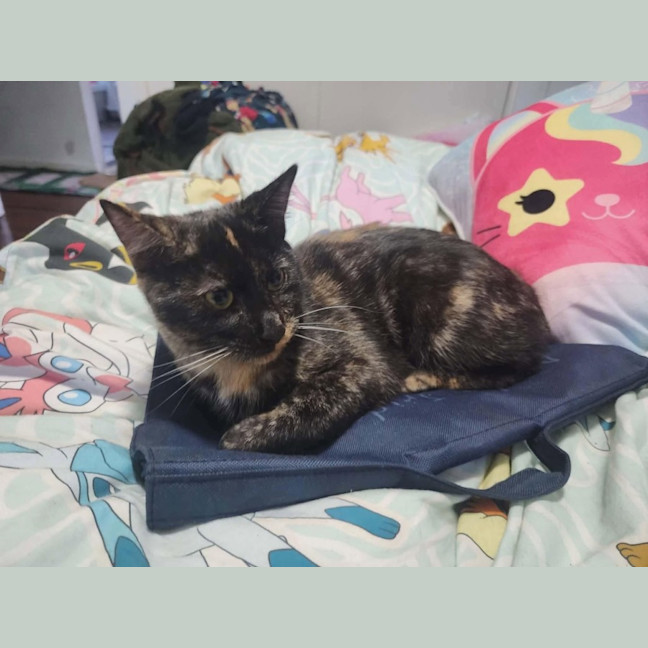 Photo of Penelope