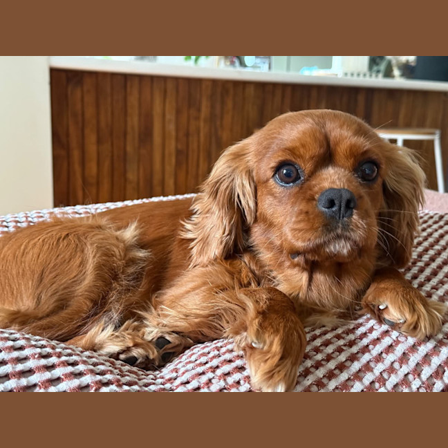 Photo of Jilly