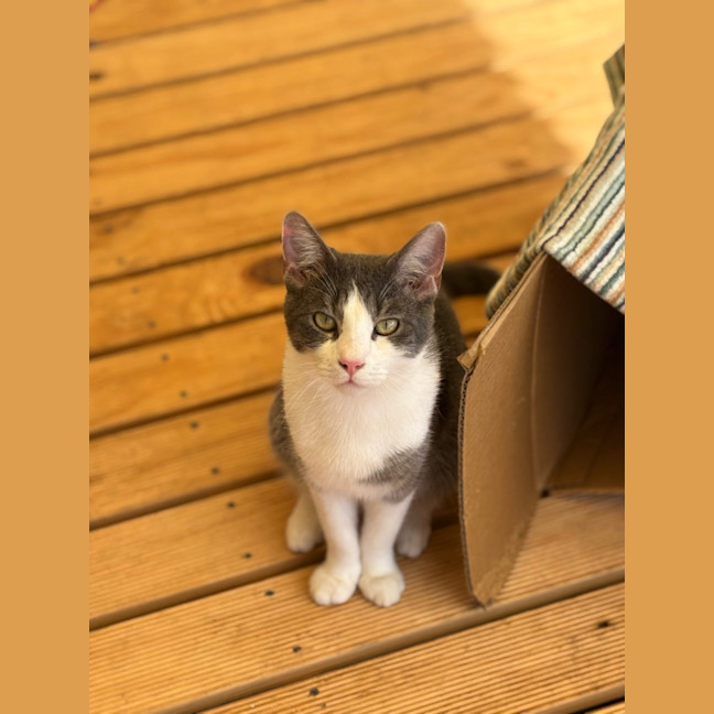 Photo of Larry