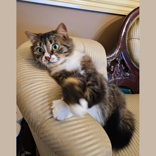 Photo of Princy