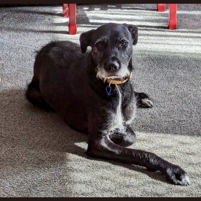 Photo of Betty