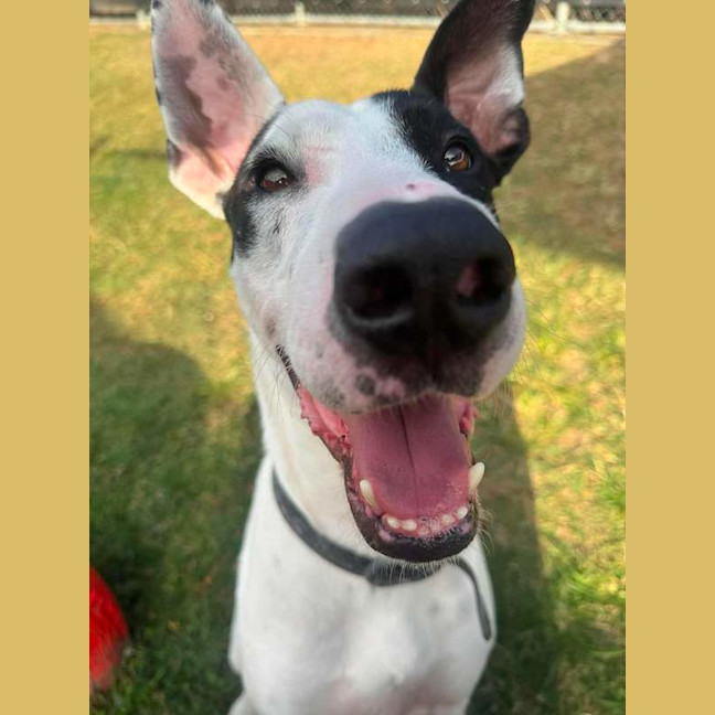 Photo of Aero
