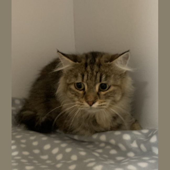 Photo of Mabel