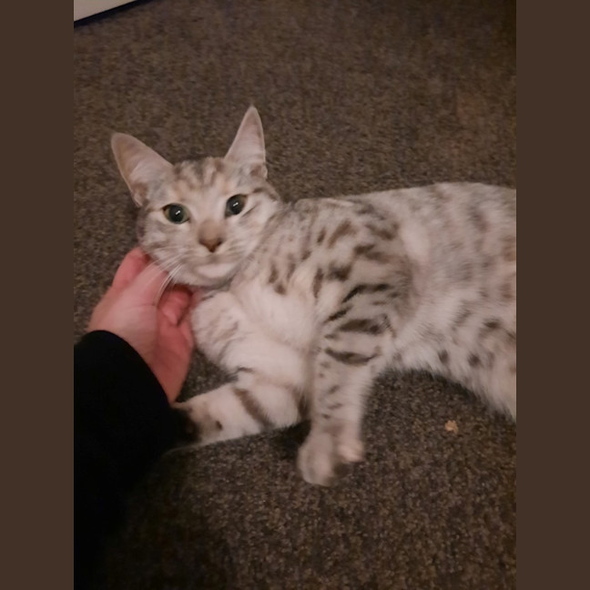 Photo of Arianna Quinnell