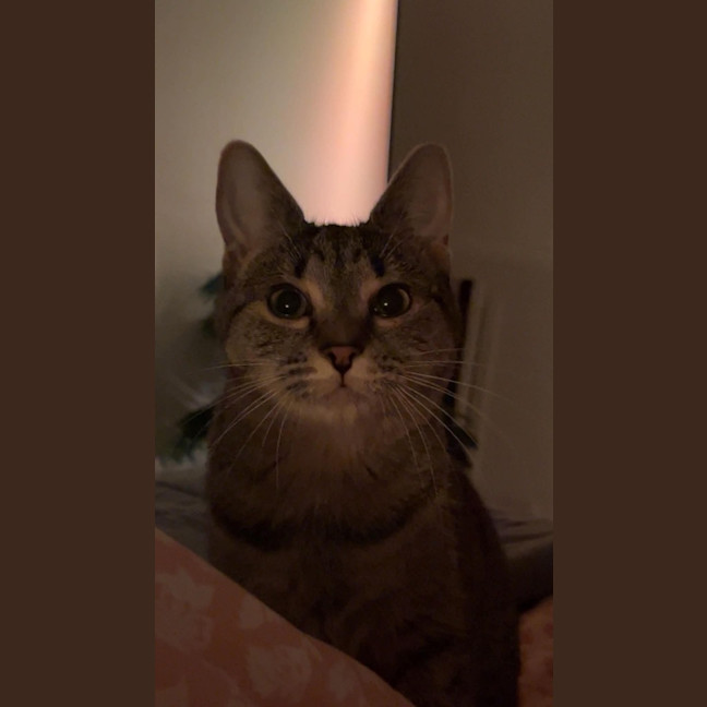 Photo of Nancy