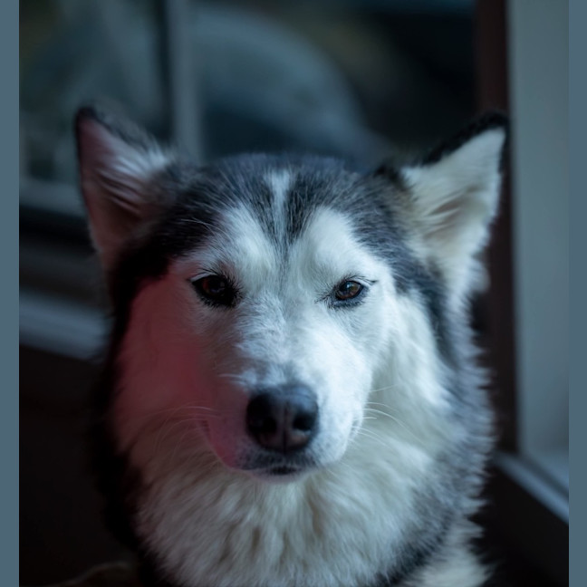 Photo of Quattro