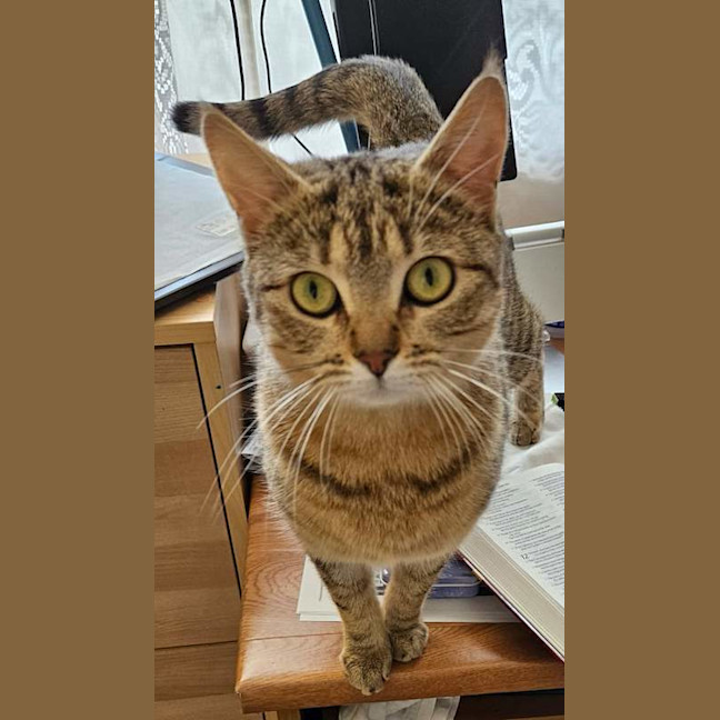 Photo of Miss Smooch