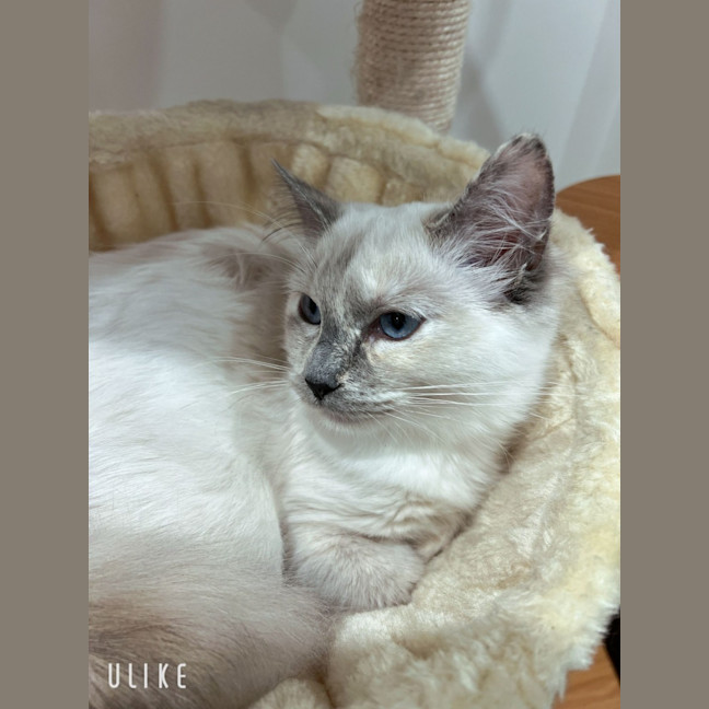 Photo of Elsa