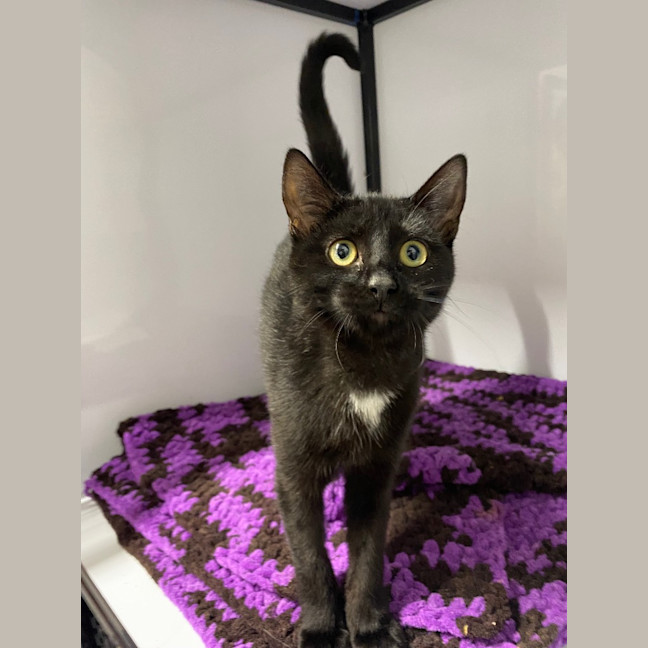 Photo of Tipsy   Burnie