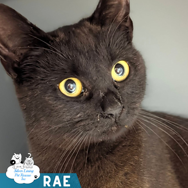 Photo of Rae