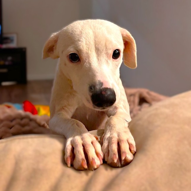 Photo of Quinny