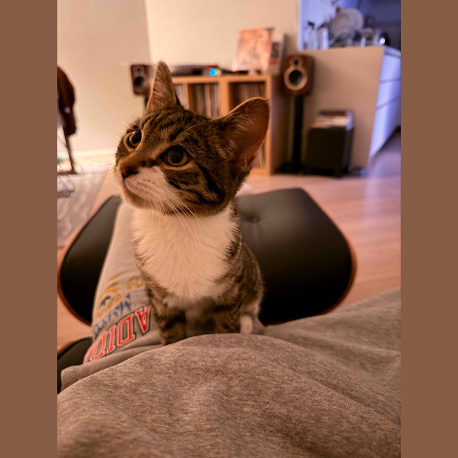 Photo of Theo