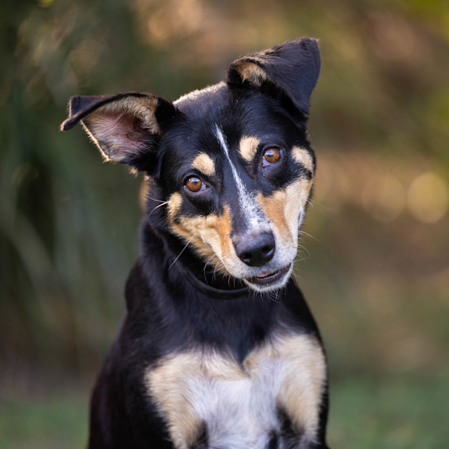 Photo of Kelsey (Twinkle)