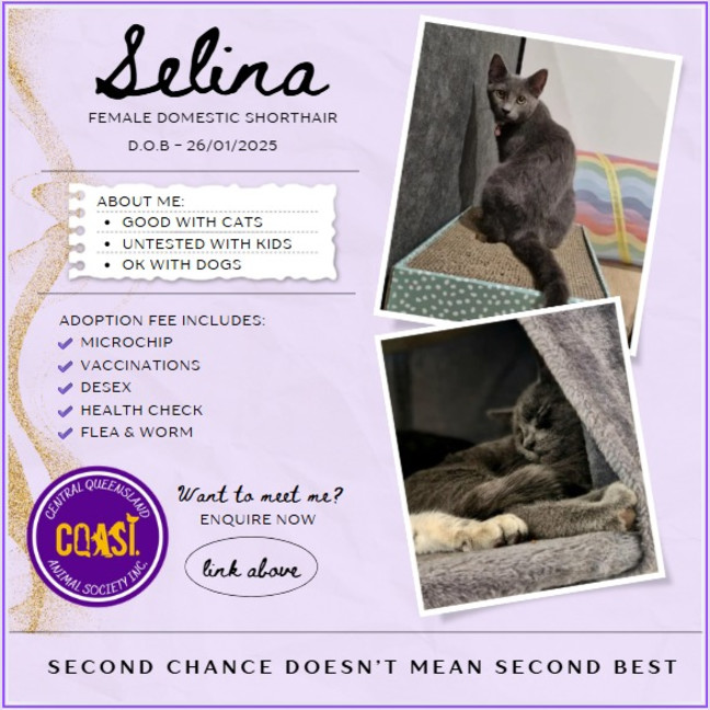 Photo of Selina