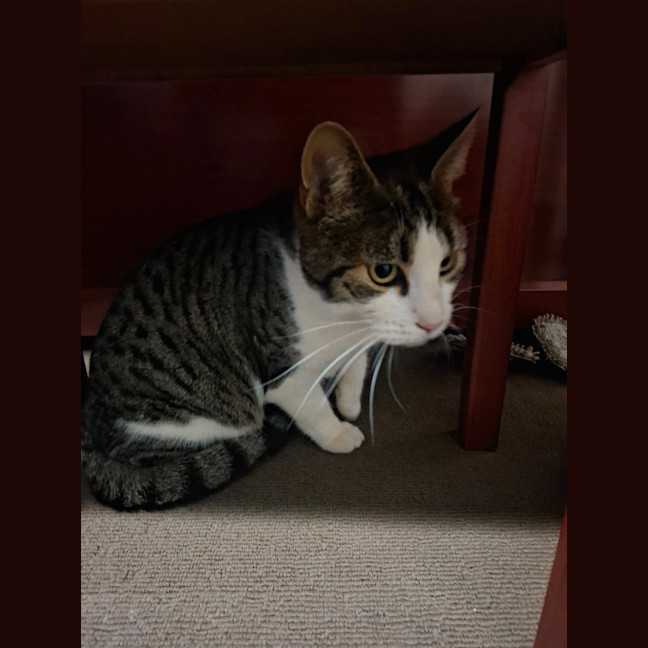 Photo of Tubby