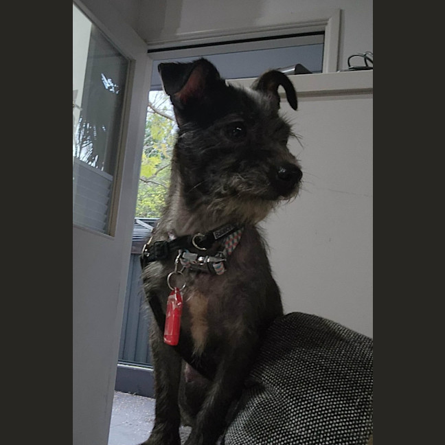 Photo of Chloe 